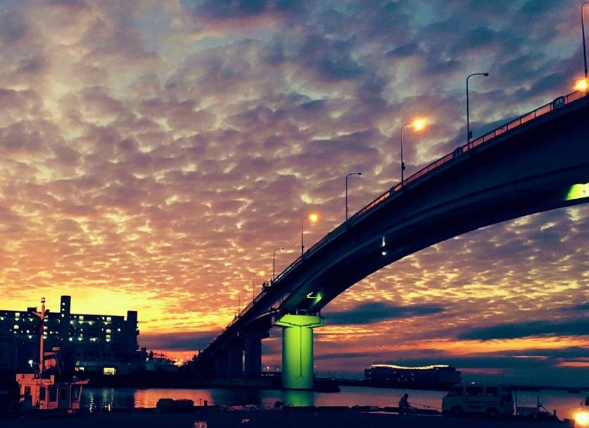 屋外の景色 写真