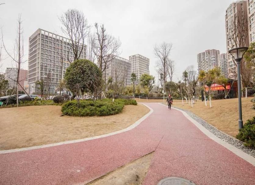 屋外の景色 写真