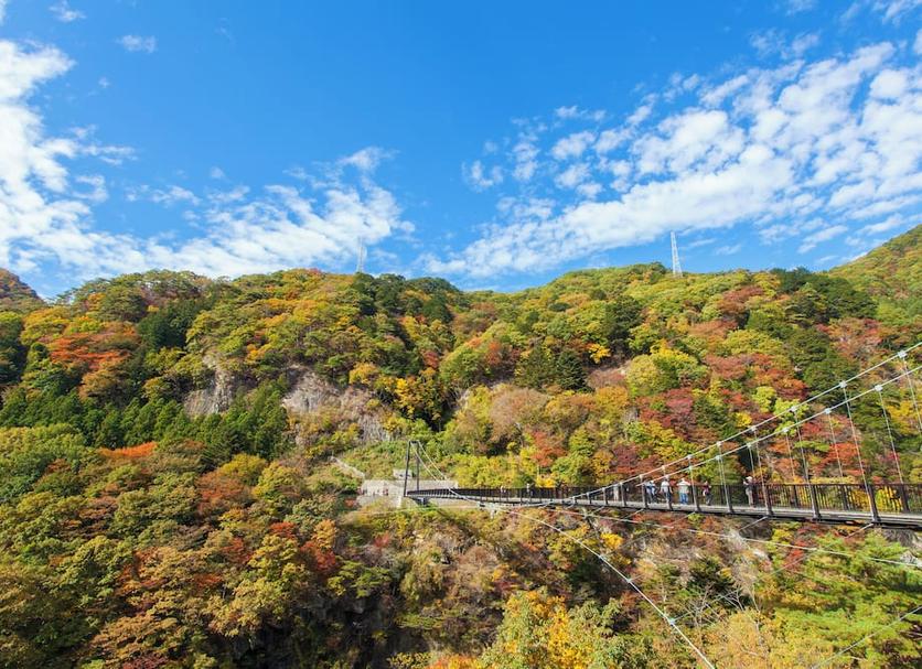 屋外の景色 写真