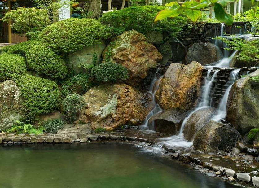 屋外の景色 写真