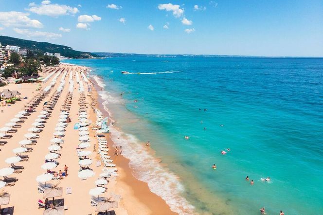 インターナショナル ホテル カジノ & タワー スイーツ