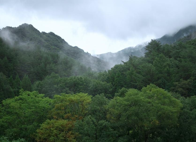 屋外の景色 写真