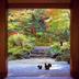 屋外の景色