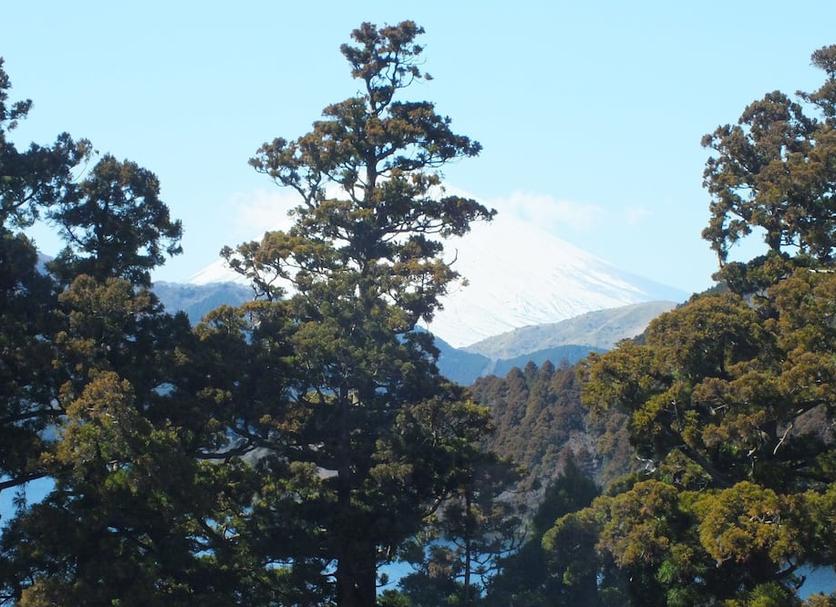 屋外の景色 写真