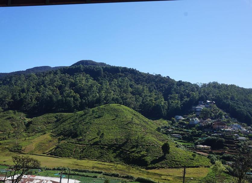 屋外の景色 写真