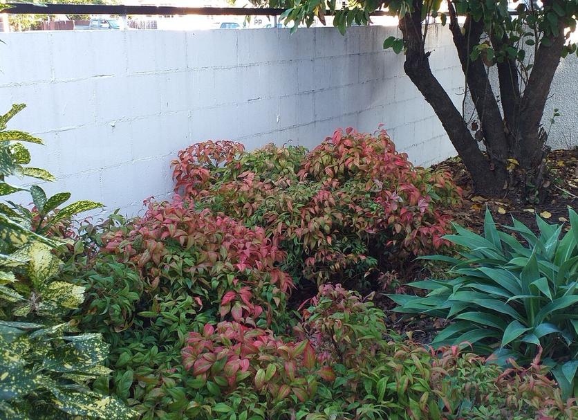 屋外の景色 写真