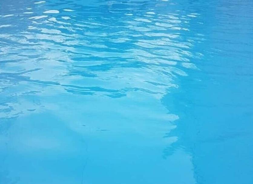 その他 写真