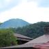 屋外の景色