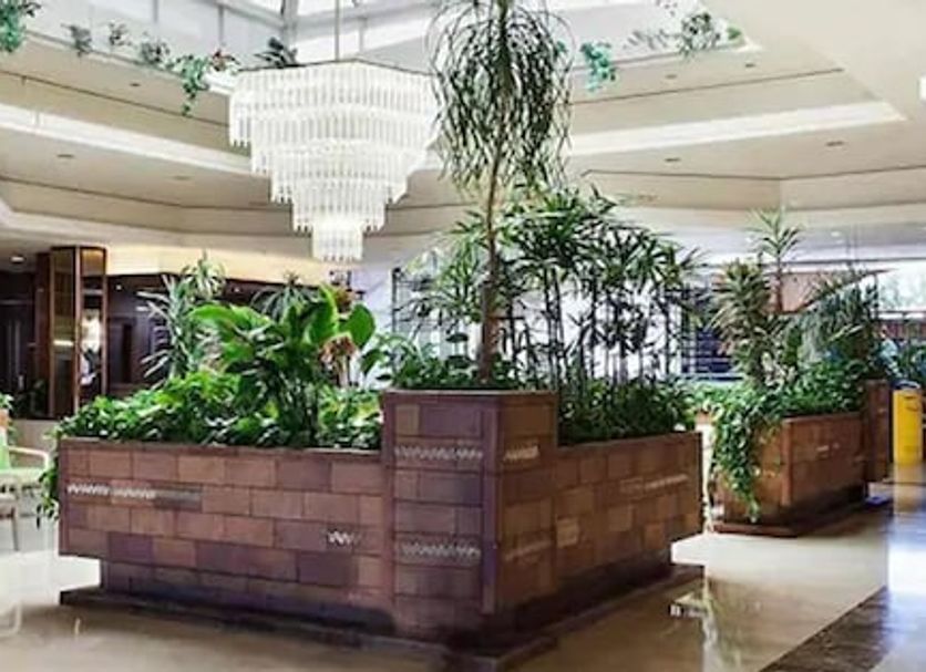 フロントデスク 写真