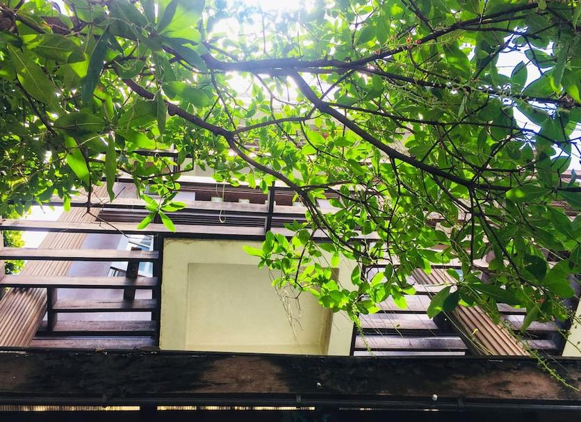 屋外の景色 写真