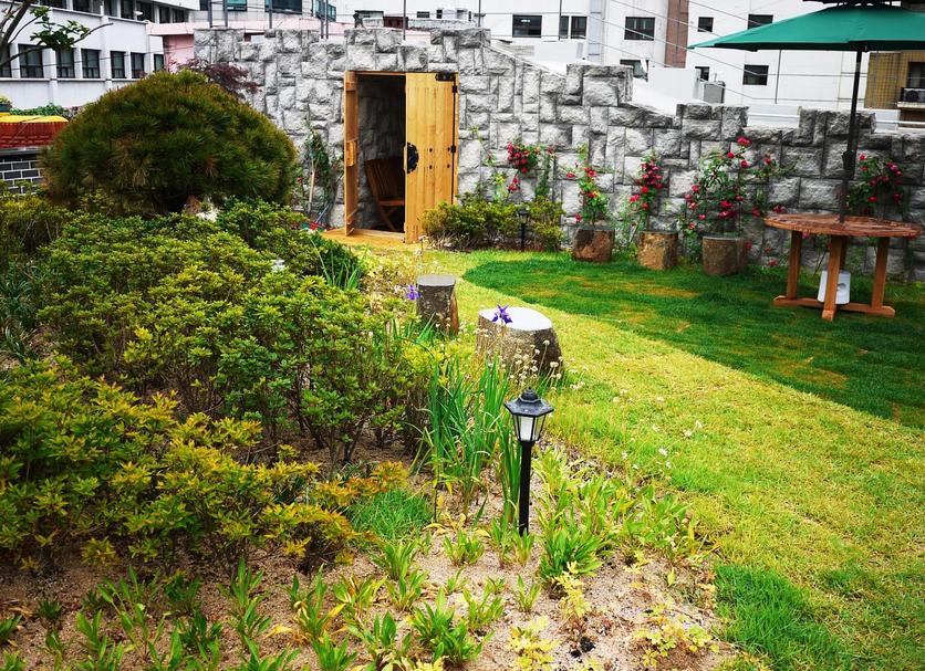 屋外の景色 写真