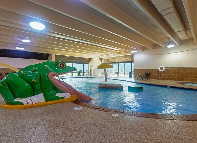 プール 写真