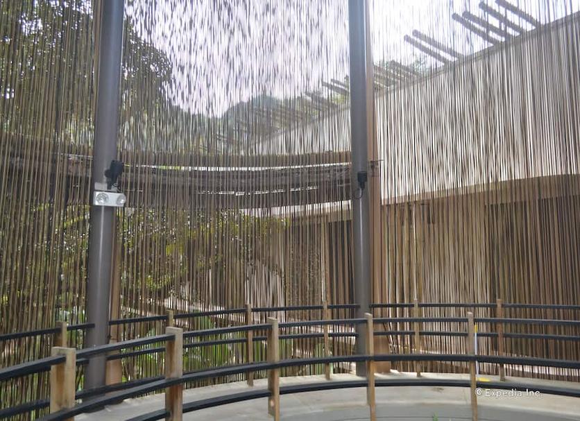 屋外の景色 写真