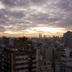 屋外の景色