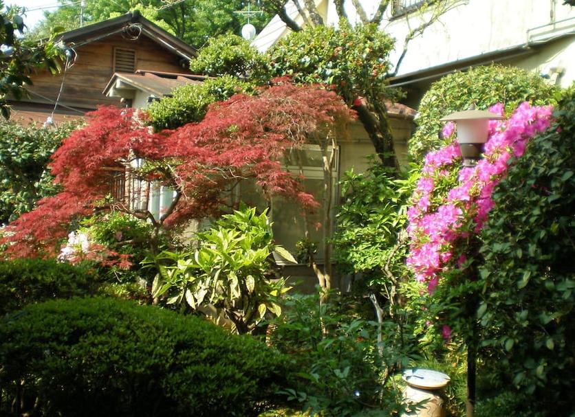 屋外の景色 写真
