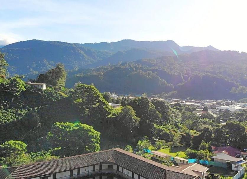 屋外の景色 写真