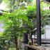 屋外の景色