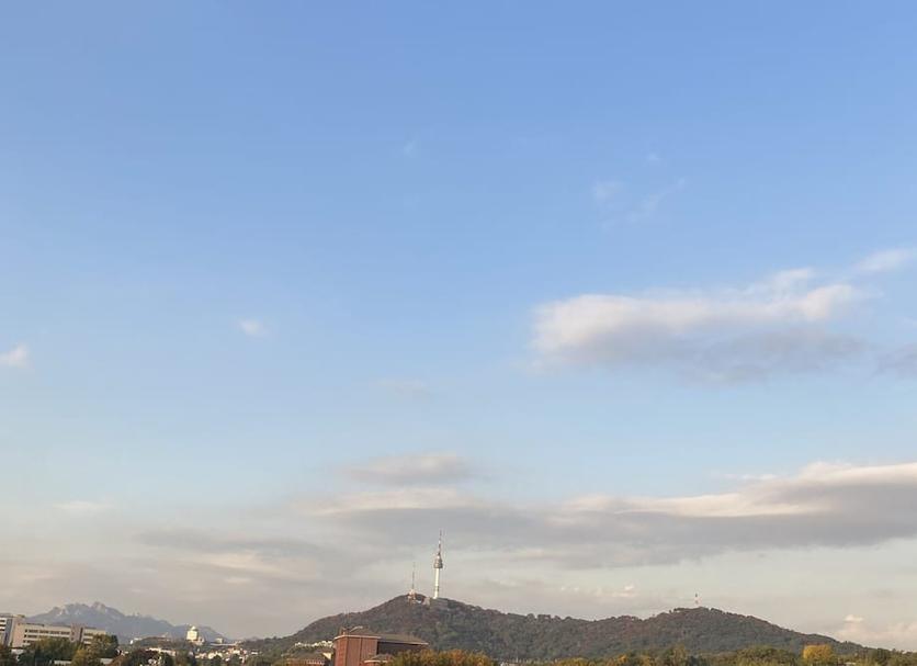 屋外の景色 写真
