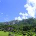 屋外の景色