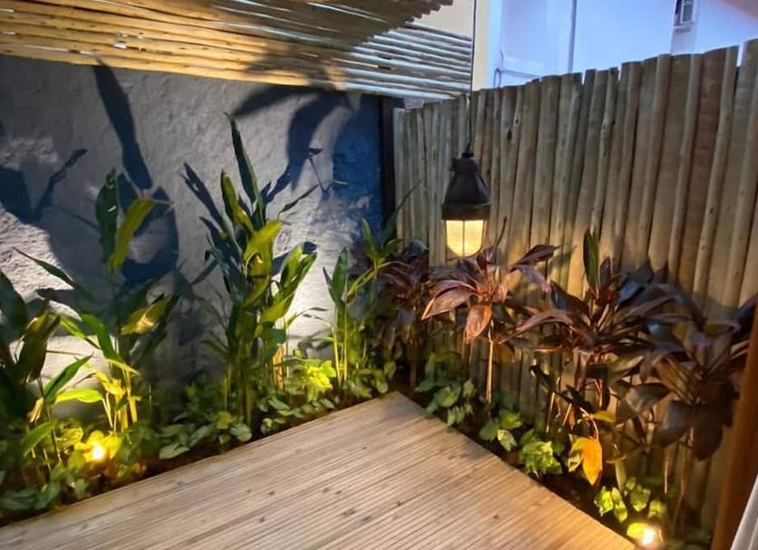 屋外の景色 写真