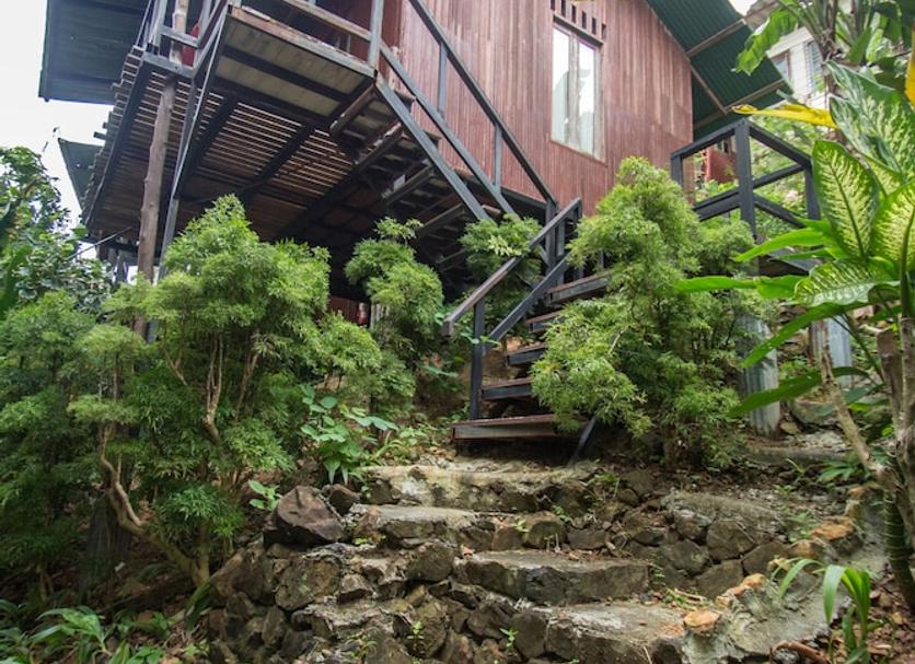 屋外の景色 写真