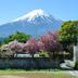 屋外の景色