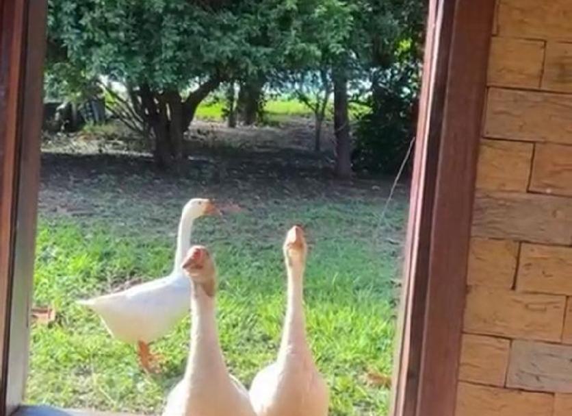 その他 写真
