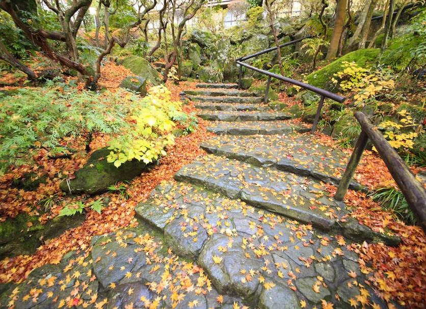 屋外の景色 写真