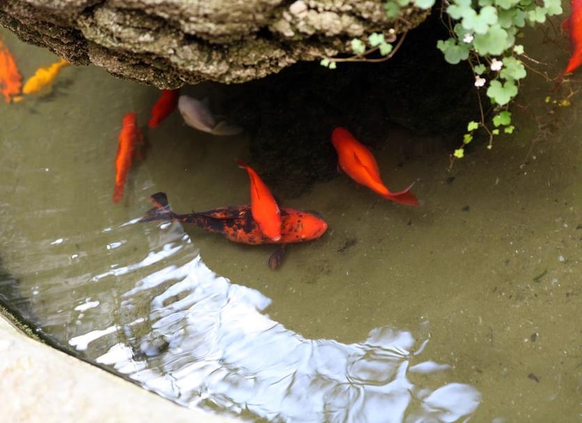 その他 写真