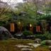 屋外の景色