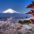 屋外の景色
