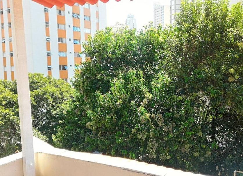 屋外の景色 写真