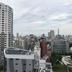 屋外の景色