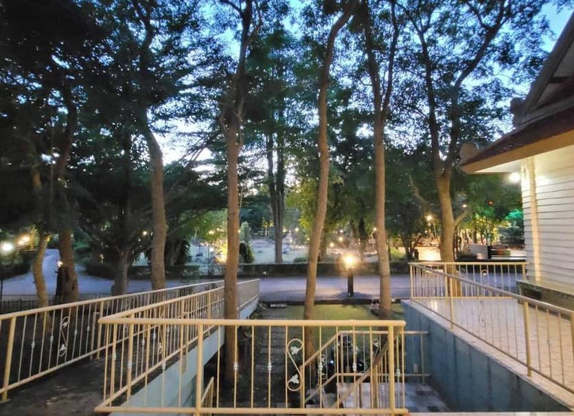 屋外の景色 写真