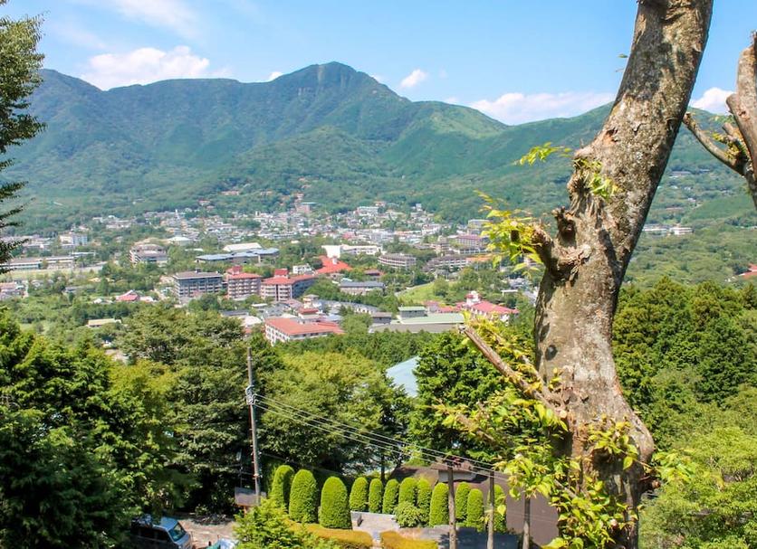 屋外の景色 写真