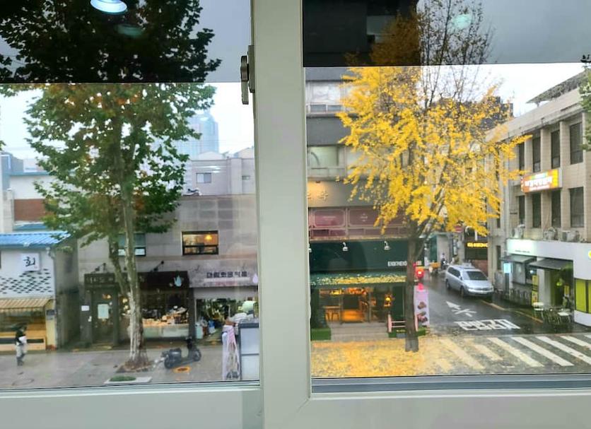 屋外の景色 写真