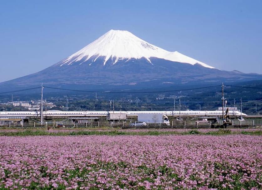 屋外の景色 写真