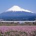 屋外の景色