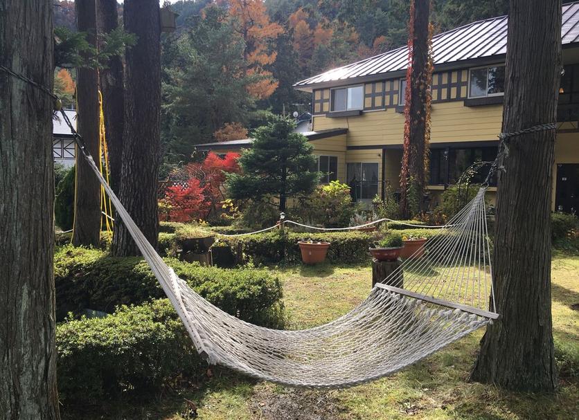 屋外の景色 写真