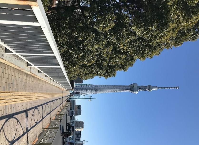 屋外の景色 写真