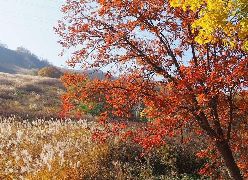 屋外の景色 写真