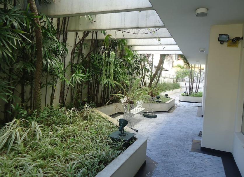 屋外の景色 写真