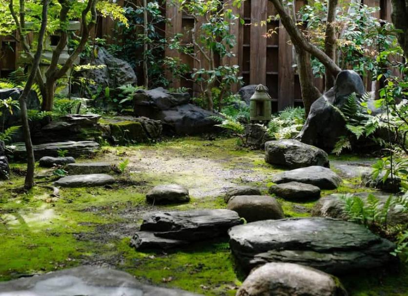 屋外の景色 写真