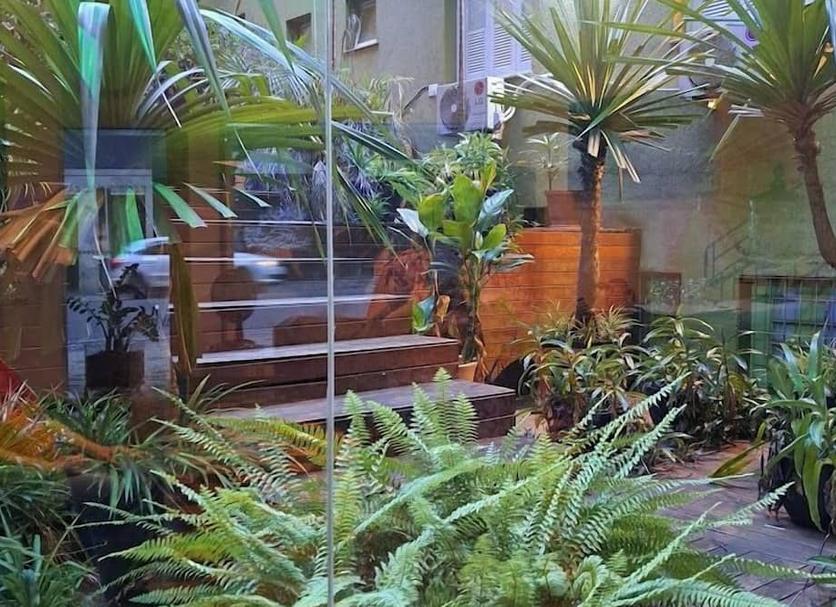 屋外の景色 写真