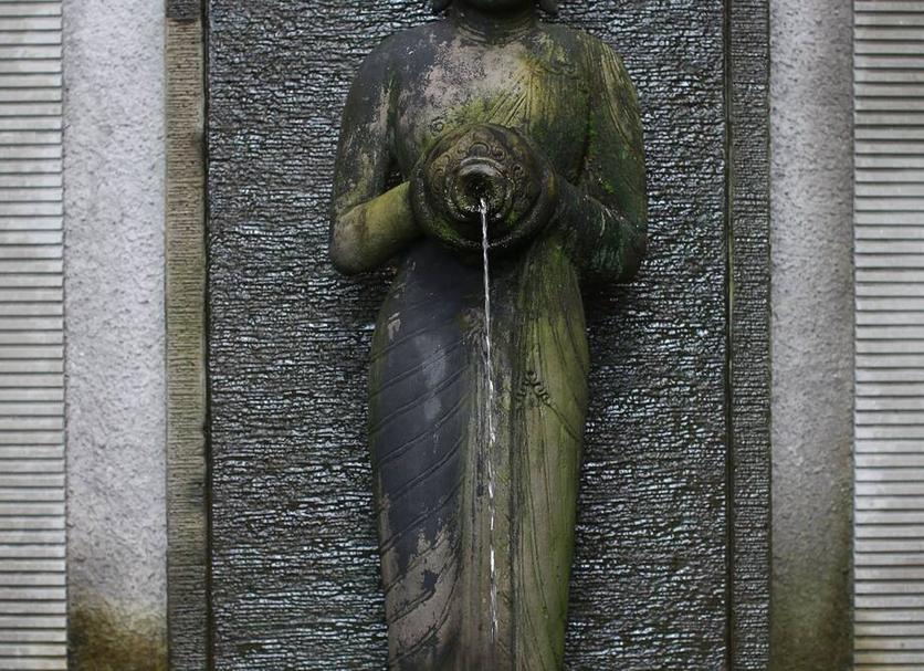 客室の設備 写真