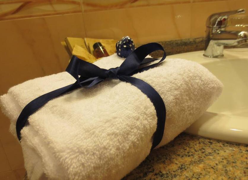 客室の設備 写真