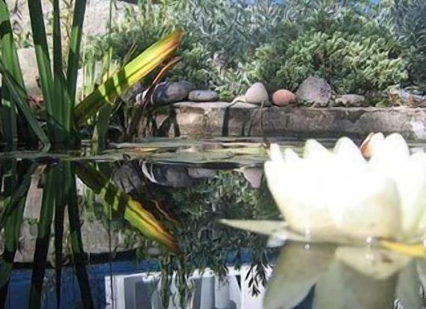屋外の景色 写真
