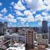屋外の景色