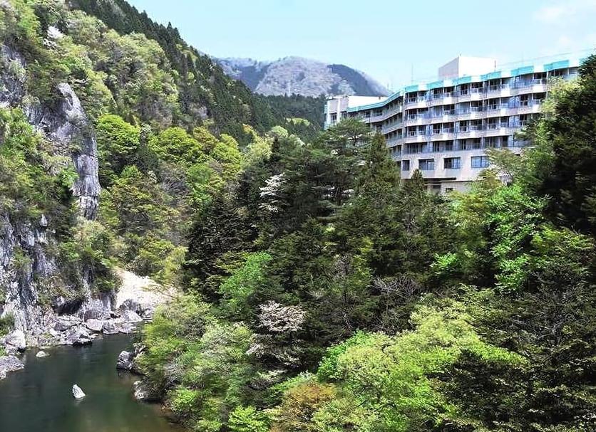 屋外の景色 写真