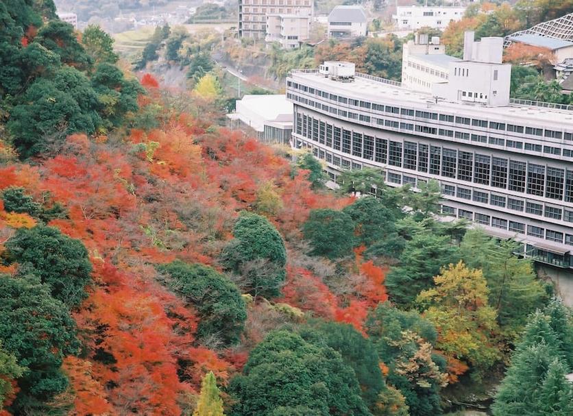 屋外の景色 写真